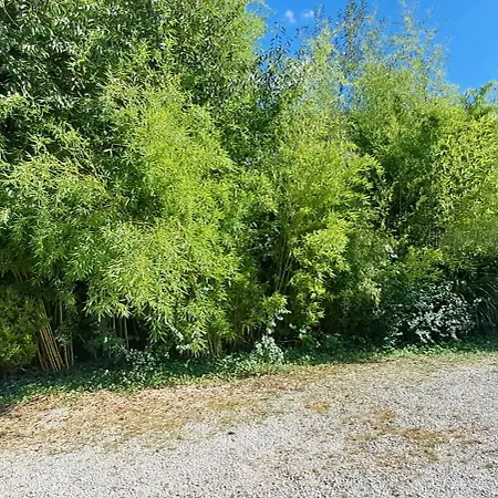 Charmante Petite Maison Prázdninový dům Torcenay